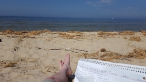 A penultimate activity at the Wakonse Conference is spending quiet alone time reflecting on professional and personal goals. A sand dune on Lake Michigan on a gorgeous day in May is a great place to do that.